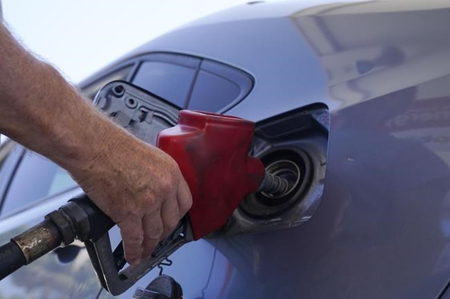 Oil prices spike as Saudi Arabia, Russia extend 1.3 million barrel a day oil cut through December | iNFOnews.ca