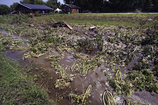 USDA designates July flooding a disaster in Vermont, making farmers eligible for emergency loans | iNFOnews.ca
