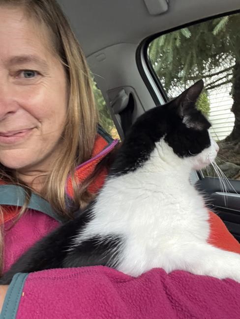 Alaska couple reunited with cat 26 days after home collapsed into river swollen by glacial outburst | iNFOnews.ca
