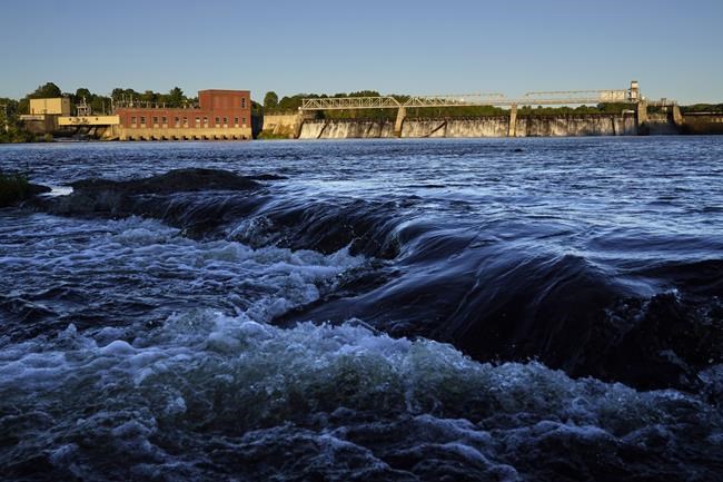 More wild Atlantic salmon found in U.S. rivers than any time in the past decade, officials say | iNFOnews.ca