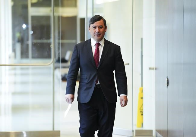 MP Michael Chong urges U.S. lawmakers to work with Canada to combat Chinese meddling | iNFOnews.ca