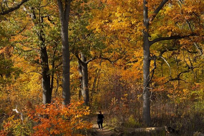 Weather Network forecasts 'fickle fall' in Canada with season to start cold, end mild | iNFOnews.ca Weather Network forecasts 'fickle fall' in Canada with season to start cold, end mild | iNFOnews.ca