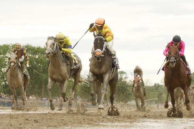 Stein leads Velocitor to victory in $400,000 Prince of Wales Stakes | iNFOnews.ca