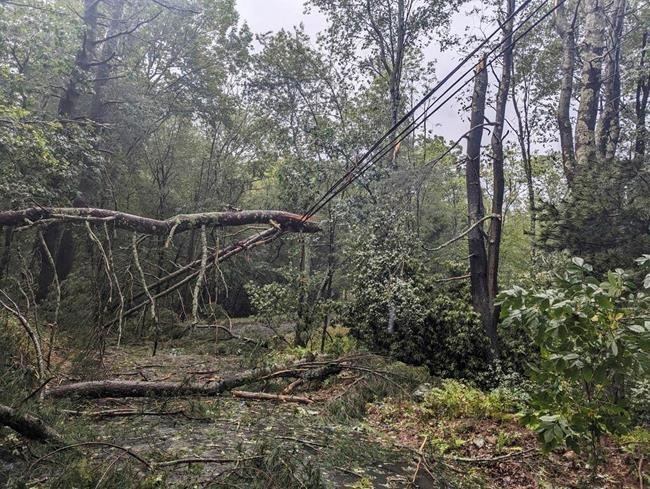 Hurricane watches issued for southwestern Nova Scotia and southern New Brunswick | iNFOnews.ca Hurricane watches issued for southwestern Nova Scotia and southern New Brunswick | iNFOnews.ca