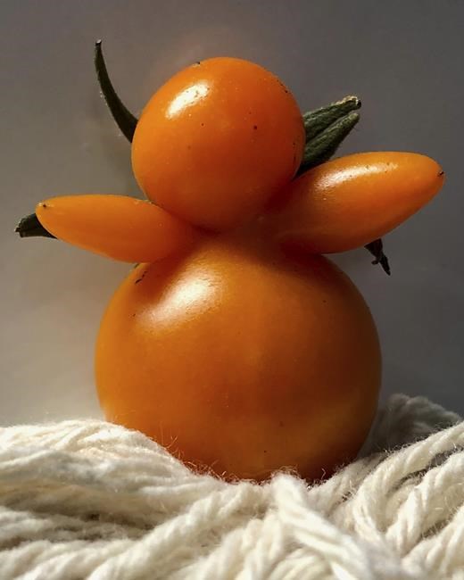 The mutant tomatoes are here, and they come in peace | iNFOnews.ca