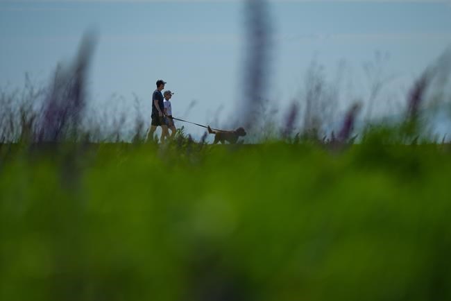 New B.C. law to regulate public drug use as possession near playgrounds is banned | iNFOnews.ca New B.C. law to regulate public drug use as possession near playgrounds is banned | iNFOnews.ca