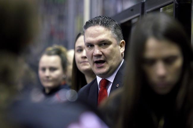 Canadians dominate PWHL coach hirings, Troy Ryan named Toronto coach | iNFOnews.ca