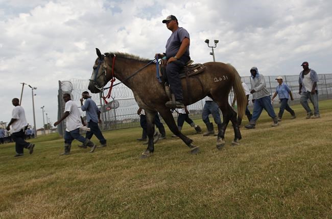 Louisiana prisoner suit claims they’re forced to endure dangerous conditions at Angola prison farm | iNFOnews.ca Louisiana prisoner suit claims they’re forced to endure dangerous conditions at Angola prison farm | iNFOnews.ca