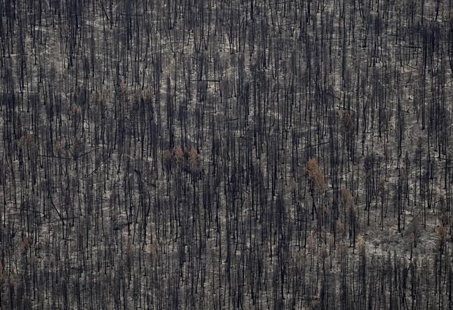 Evacuation orders issued near Peachland, more than 400 wildfires burn across B.C. | iNFOnews.ca