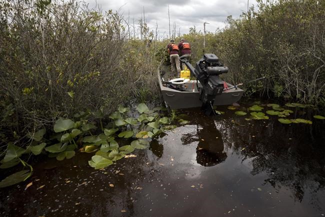 U.S. to nominate Okefenokee Swamp refuge for listing as UNESCO World Heritage site | iNFOnews.ca