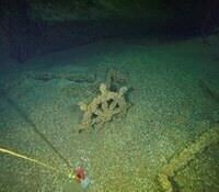 Historians race to find Great Lakes shipwrecks before quagga mussels destroy the sites | iNFOnews.ca Historians race to find Great Lakes shipwrecks before quagga mussels destroy the sites | iNFOnews.ca