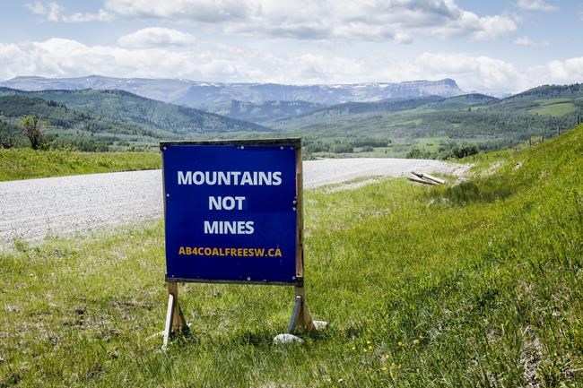 Head of Alta commission on Rocky Mountain coal mining concerned over new applications | iNFOnews.ca