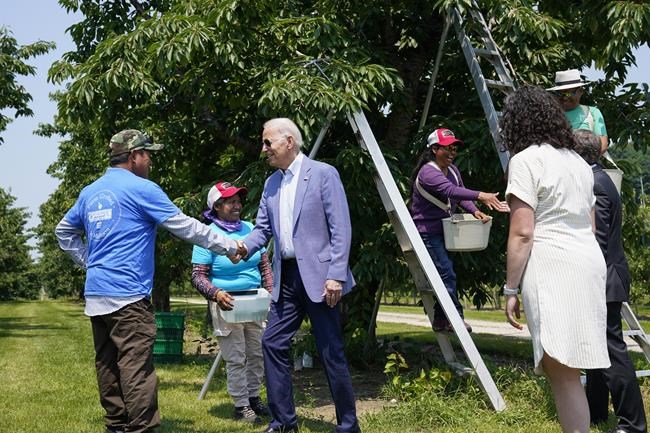 United Farm Workers endorses Biden, says he's an 'authentic champion' for workers and their families | iNFOnews.ca United Farm Workers endorses Biden, says he's an 'authentic champion' for workers and their families | iNFOnews.ca
