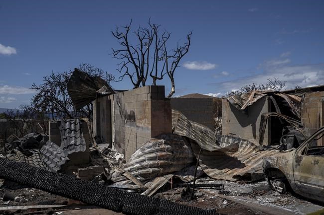 Authorities in Maui will open more of the burn zone to visits by residents next week | iNFOnews.ca