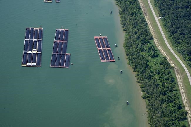 Biden to send disaster assistance to Louisiana, as salt water threatens the state's drinking water | iNFOnews.ca