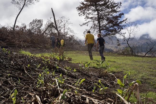 When Kula needed water to stop wildfire, it got a trickle. Many other US cities are also vulnerable | iNFOnews.ca When Kula needed water to stop wildfire, it got a trickle. Many other US cities are also vulnerable | iNFOnews.ca