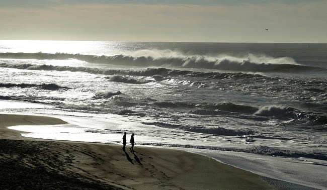 Northern California seashore searched for missing swimmer after unconfirmed report of a shark attack | iNFOnews.ca Northern California seashore searched for missing swimmer after unconfirmed report of a shark attack | iNFOnews.ca