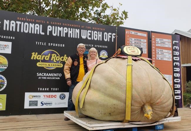 B.C. man takes one-tonne pumpkin on road trip to win California weigh-off | iNFOnews.ca B.C. man takes one-tonne pumpkin on road trip to win California weigh-off | iNFOnews.ca