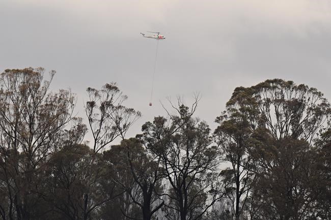 Wildfire destroys 3 homes in southeastern Australia and a man is injured by a falling tree | iNFOnews.ca Wildfire destroys 3 homes in southeastern Australia and a man is injured by a falling tree | iNFOnews.ca