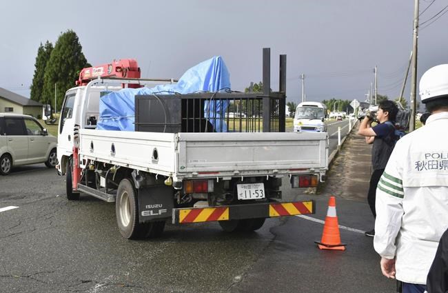 3 bears are captured after sneaking into a tatami factory as northern Japan faces a growing problem | iNFOnews.ca