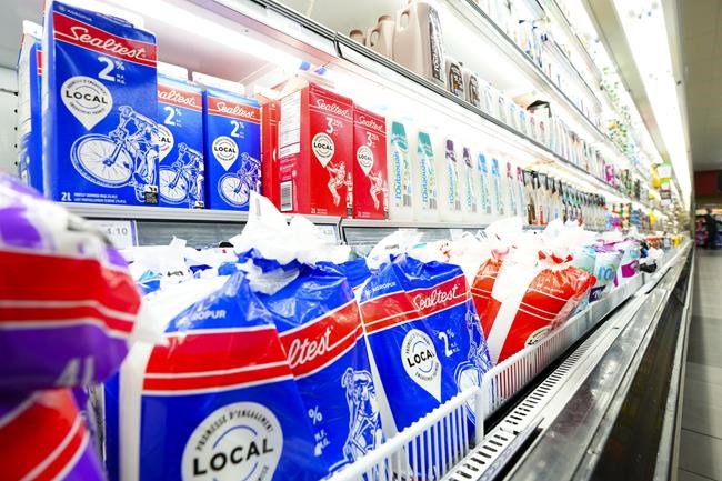 Independent grocers call for milk price pause amid pressure to keep food costs down | iNFOnews.ca
