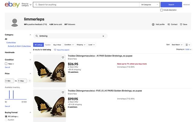 Rare birdwing butterflies star in federal case against NY man accused of trafficking insects | iNFOnews.ca Rare birdwing butterflies star in federal case against NY man accused of trafficking insects | iNFOnews.ca