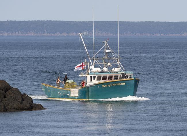More than 50 Indigenous fish harvesters in the Maritimes charged or on trial: Ottawa | iNFOnews.ca More than 50 Indigenous fish harvesters in the Maritimes charged or on trial: Ottawa | iNFOnews.ca