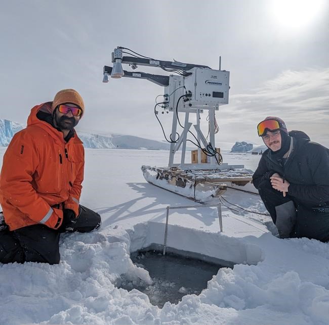 'Dramatic decline': Calgary researcher says sea ice in Antarctica lowest since 1986 | iNFOnews.ca 'Dramatic decline': Calgary researcher says sea ice in Antarctica lowest since 1986 | iNFOnews.ca