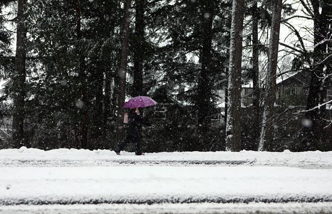 Southern B.C. sees snow at higher levels as incoming rainstorm meets arctic cold | iNFOnews.ca