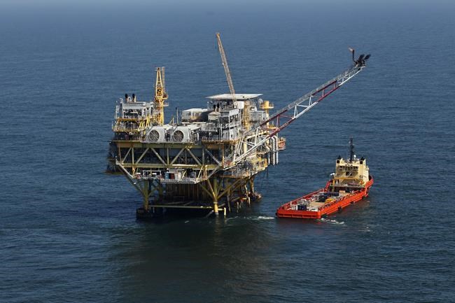 Sale of federal oil and gas leases in Gulf of Mexico off again pending hearings on whale protections | iNFOnews.ca