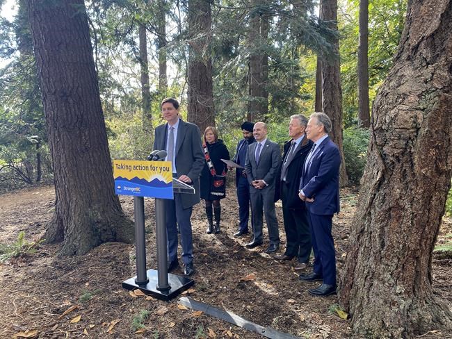 B.C. introduces crowd-sourcing mechanism to protect old-growth forests, more habitat | iNFOnews.ca