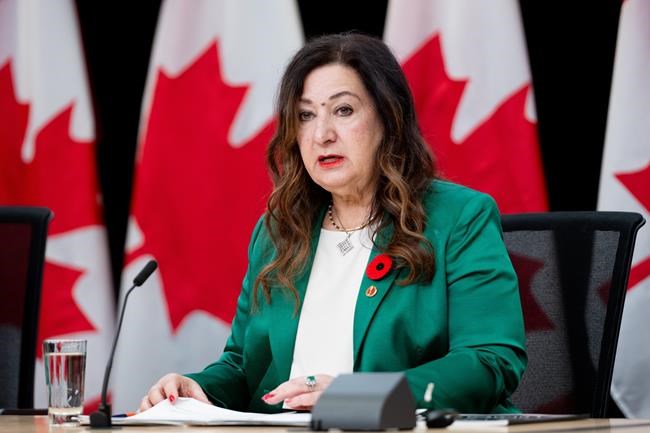 More funding, laws can stop anti-Muslim online hate from causing violence: senators | iNFOnews.ca More funding, laws can stop anti-Muslim online hate from causing violence: senators | iNFOnews.ca