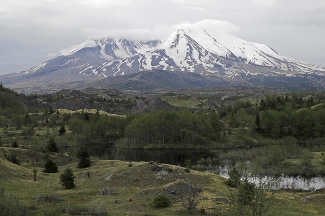 Mount St. Helens records more than 400 earthquakes since mid-July, but no signs of imminent eruption | iNFOnews.ca Mount St. Helens records more than 400 earthquakes since mid-July, but no signs of imminent eruption | iNFOnews.ca