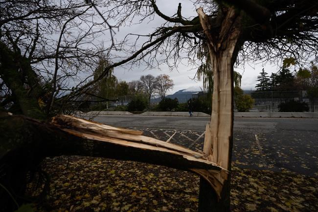 Thousands lose power in parts of B.C. after high winds, heavy rains | iNFOnews.ca Thousands lose power in parts of B.C. after high winds, heavy rains | iNFOnews.ca