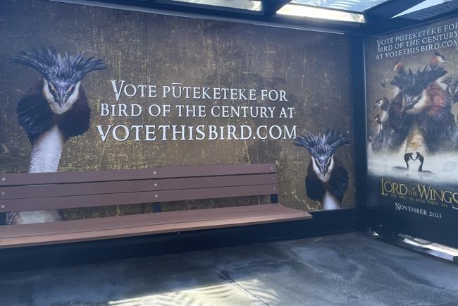 New Zealand held a Bird of the Century competition. John Oliver got this puking bird to win | iNFOnews.ca