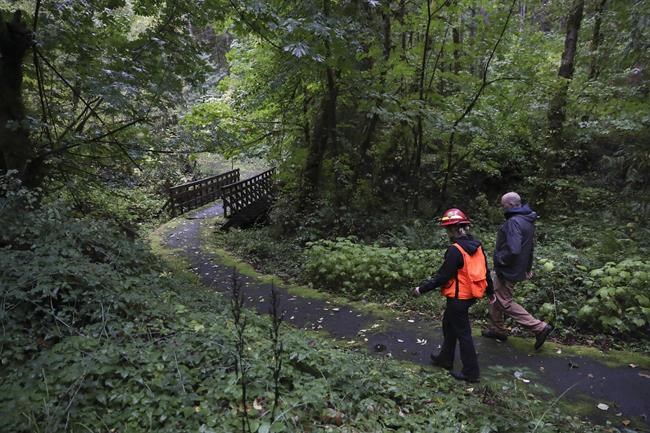 Climate change is hastening the demise of Pacific Northwest forests | iNFOnews.ca