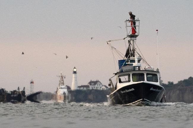 Maine lobsterman jumps from boat to help rescue a driver from a car submerged in a bay | iNFOnews.ca Maine lobsterman jumps from boat to help rescue a driver from a car submerged in a bay | iNFOnews.ca