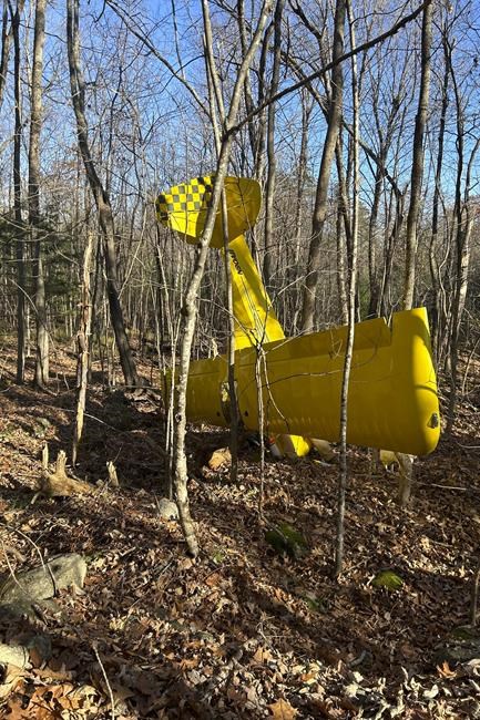 Pilot suffers minor injuries in small plane crash in southern Maine | iNFOnews.ca Pilot suffers minor injuries in small plane crash in southern Maine | iNFOnews.ca