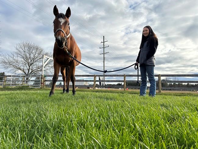 Michigan school shooting survivor heals with surgery, a trusted horse and a chance to tell her story | iNFOnews.ca