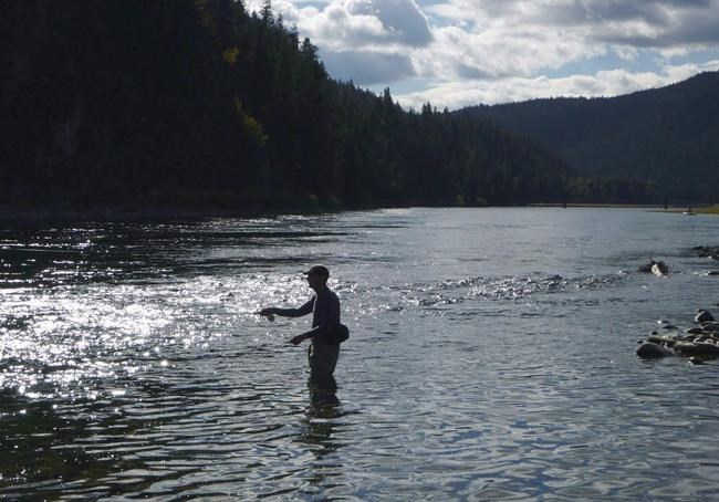 U.S. study finds Canadian mining toxin in American waters; treatment 'a small dent' | iNFOnews.ca U.S. study finds Canadian mining toxin in American waters; treatment 'a small dent' | iNFOnews.ca