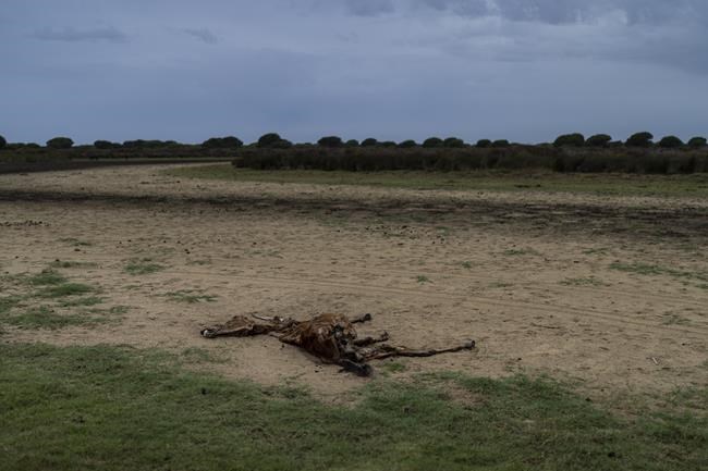 Spain announces a 1.4 billion-euro deal to help protect the prized Doñana wetland from drying up | iNFOnews.ca Spain announces a 1.4 billion-euro deal to help protect the prized Doñana wetland from drying up | iNFOnews.ca