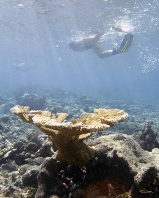 As Mexico marks conservation day, advocates say it takes too long to list vulnerable species | iNFOnews.ca As Mexico marks conservation day, advocates say it takes too long to list vulnerable species | iNFOnews.ca