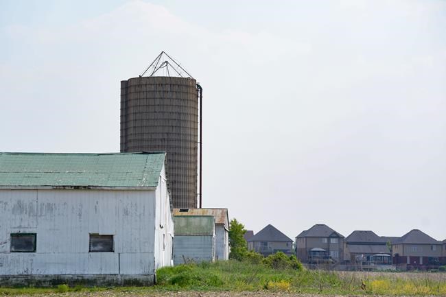 Conservative motion seeks support to order senators to pass carbon pricing bill | iNFOnews.ca