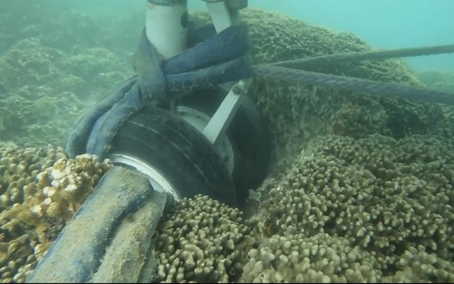 A US Navy plane went into a Hawaii bay. Underwater video shows its tires are touching a coral reef | iNFOnews.ca
