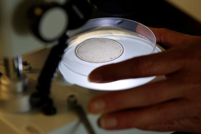 Scientists feel interference in research has lessened but still occurs: survey | iNFOnews.ca Scientists feel interference in research has lessened but still occurs: survey | iNFOnews.ca