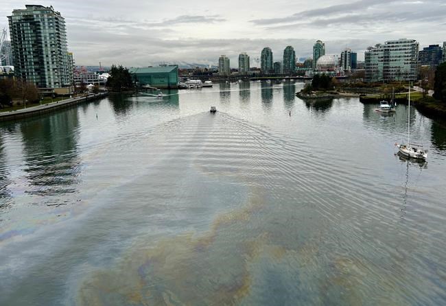 Coast Guard investigates oily sheen covering Vancouver's False Creek | iNFOnews.ca Coast Guard investigates oily sheen covering Vancouver's False Creek | iNFOnews.ca