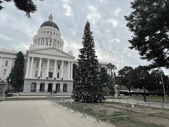 Gaza protests prompt California governor to hold virtual Christmas tree-lighting ceremony | iNFOnews.ca