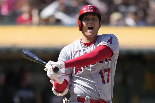 Rumours, plane tracking fuel day of speculation over Shohei Ohtani signing | iNFOnews.ca