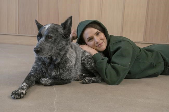 Forget the surprise if you're thinking of giving a pet as a holiday present | iNFOnews.ca