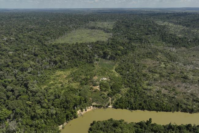 Takeaways from lawsuits accusing meat giant JBS, others of contributing to Amazon deforestation | iNFOnews.ca Takeaways from lawsuits accusing meat giant JBS, others of contributing to Amazon deforestation | iNFOnews.ca